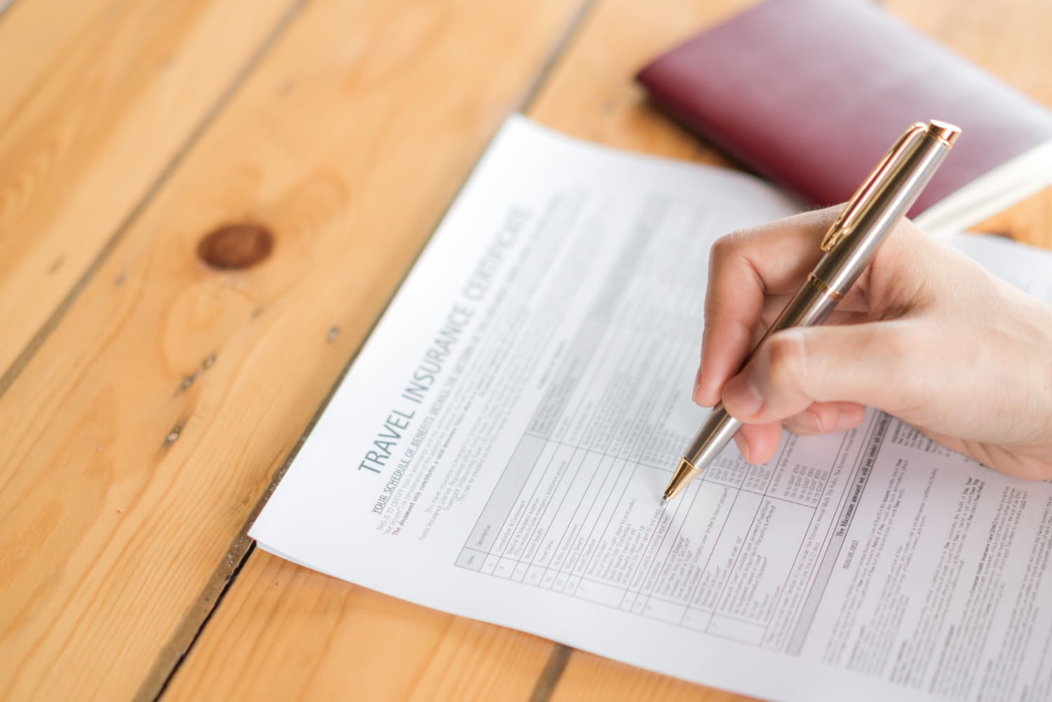 Profesional revisando documentos legales e inmigratorios traducidos para Polonia